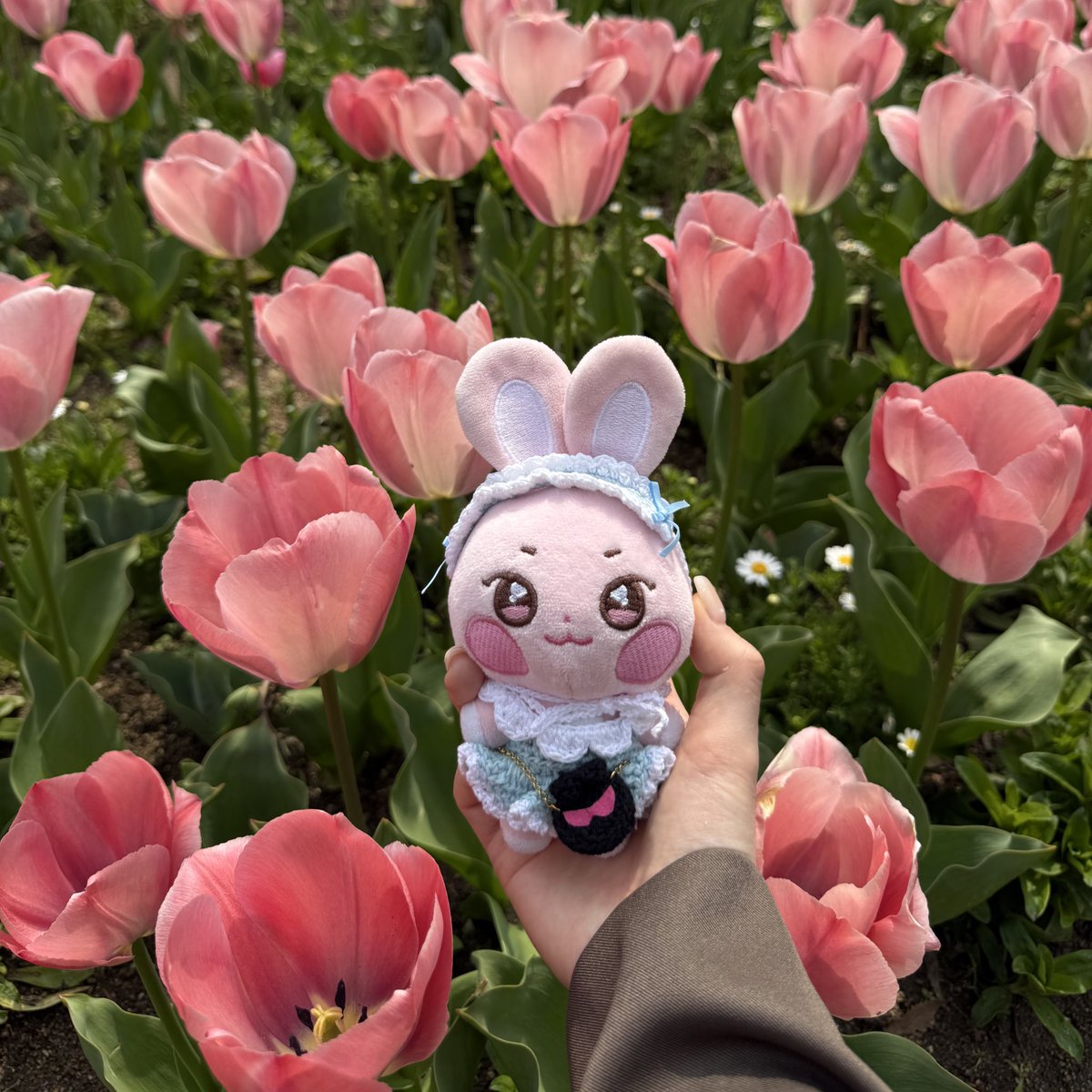 𝑴𝒂 tweet media