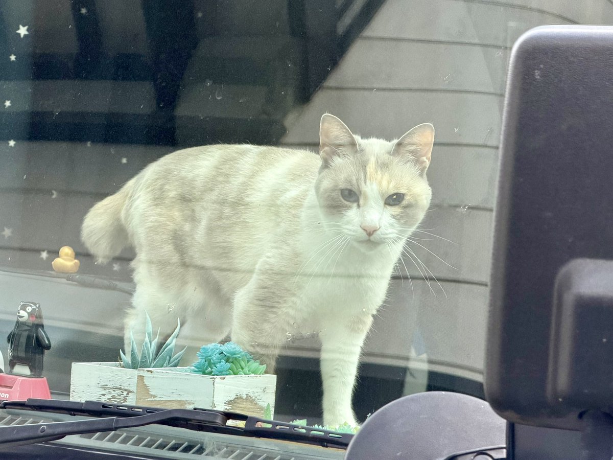 おでかけ部なかじ🚌キャンピングカーライフ tweet media