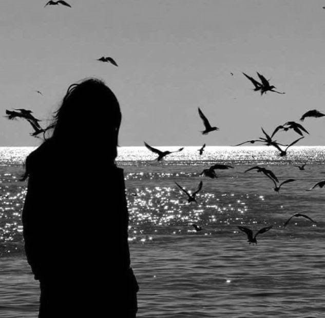 ✨نبض المشاعر ✨ tweet media