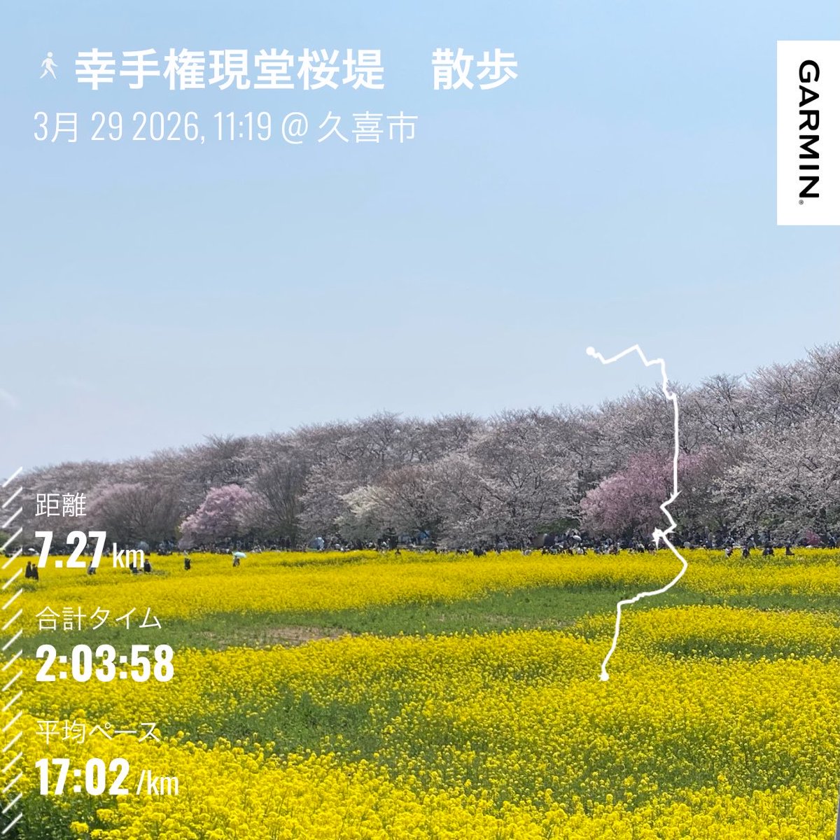 soukengogo's tweet photo. 昨日は見沼田圃
今日は幸手
菜の花の香りと紫外線を全身で満喫

落ち着かない季節だからこそ
この空気に癒される https://t.co/Bcf8IFuYDf