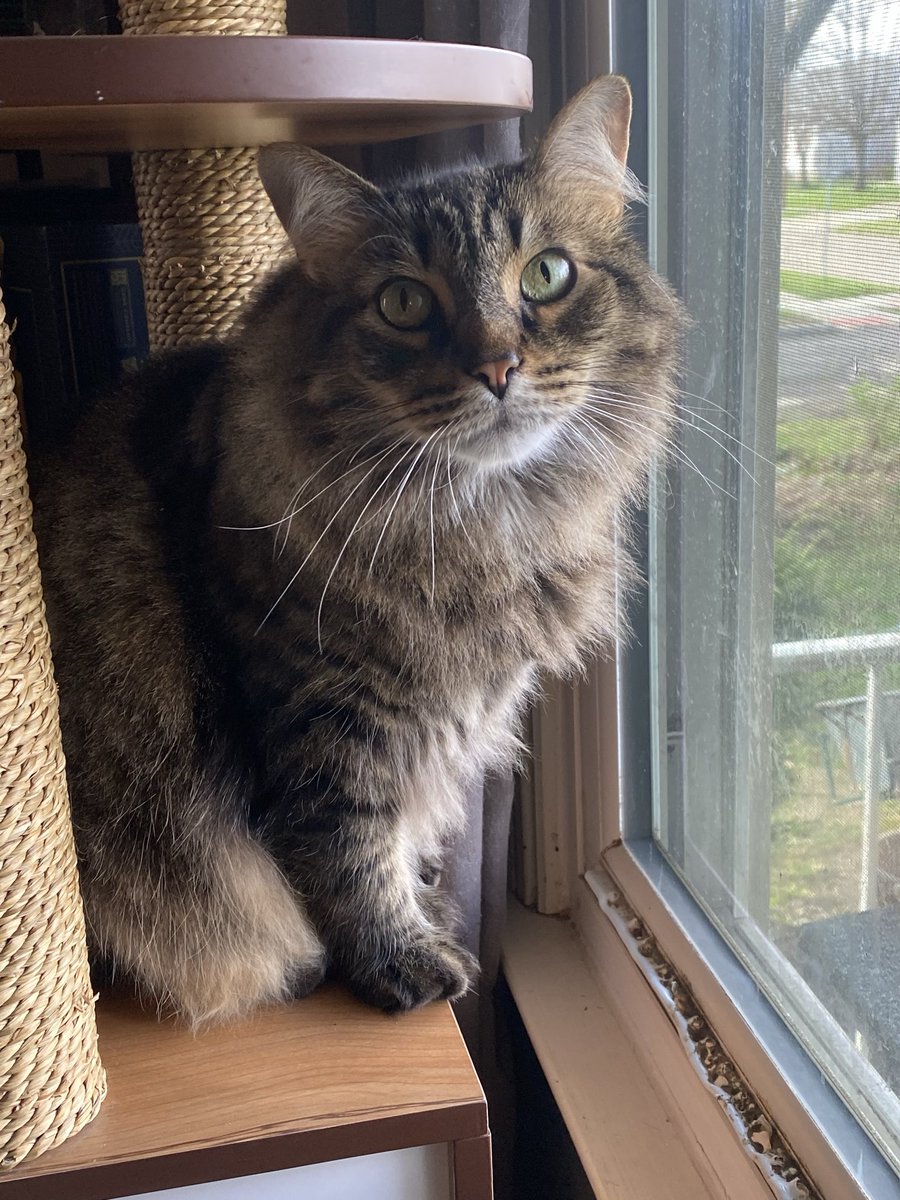 K & Archie, Alec, Declan & Saoirse tweet media