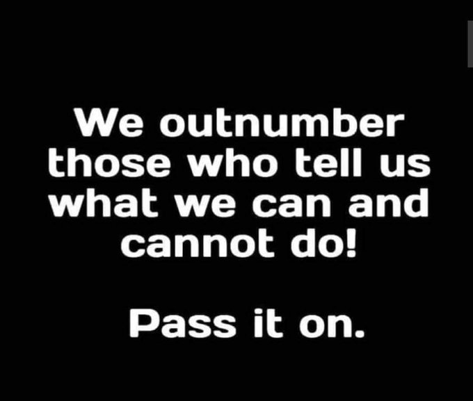 SheepDog Society LLC tweet media