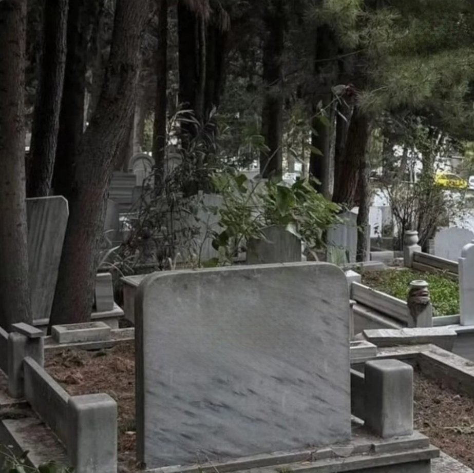 Dilan Su tweet media