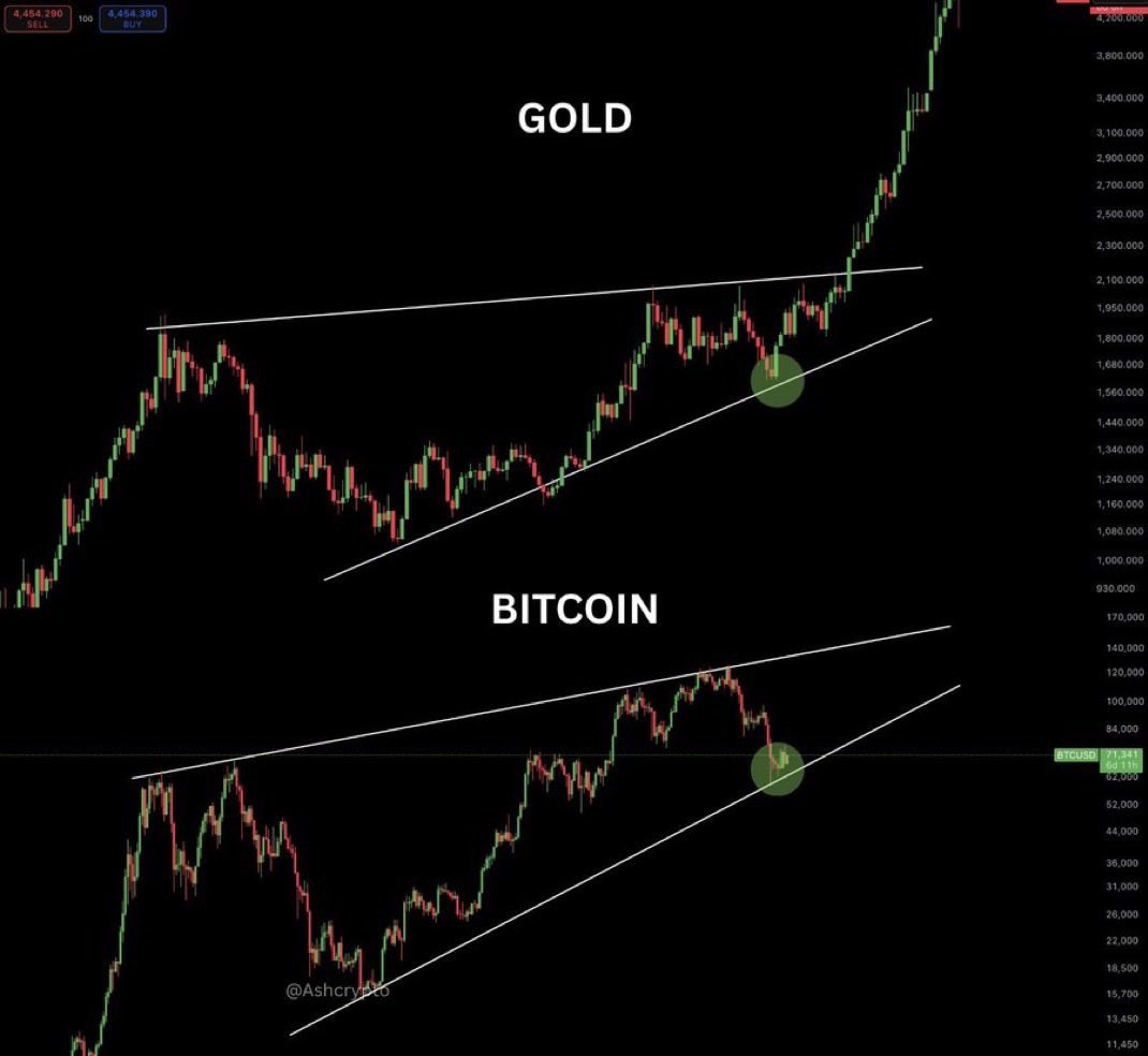 Crypto Fergani tweet media