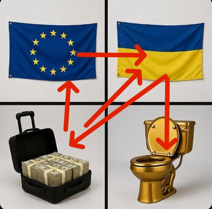 Freddy Zimmer tweet media