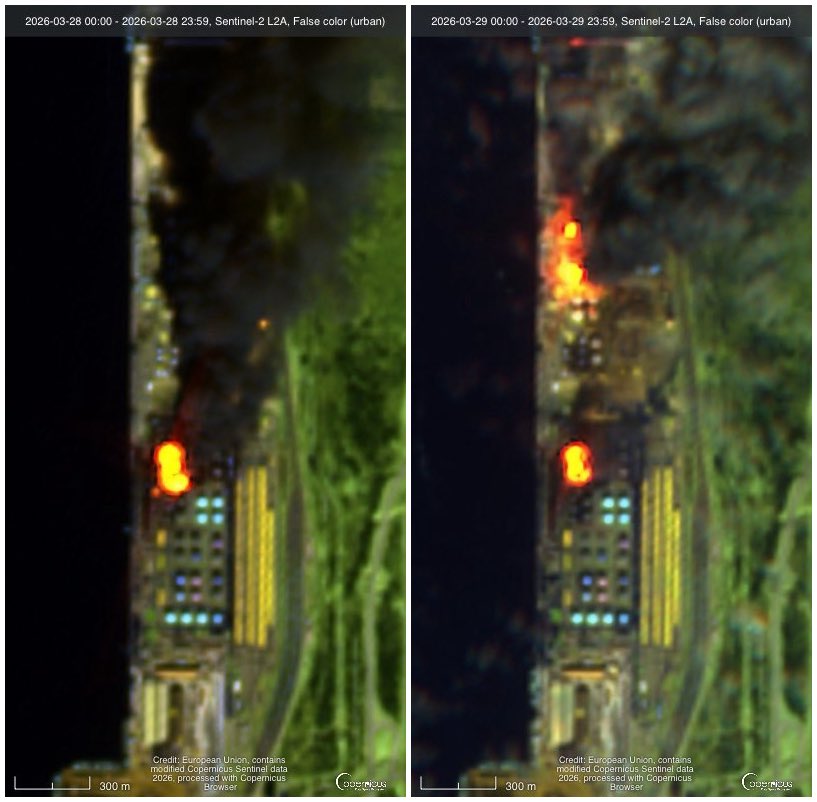 Special Kherson Cat 🐈🇺🇦 tweet media