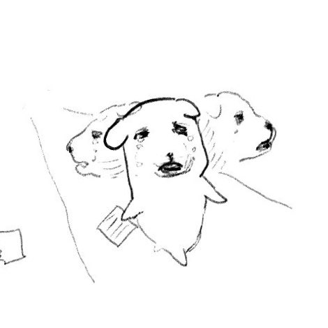 🍞 🍞 tweet media