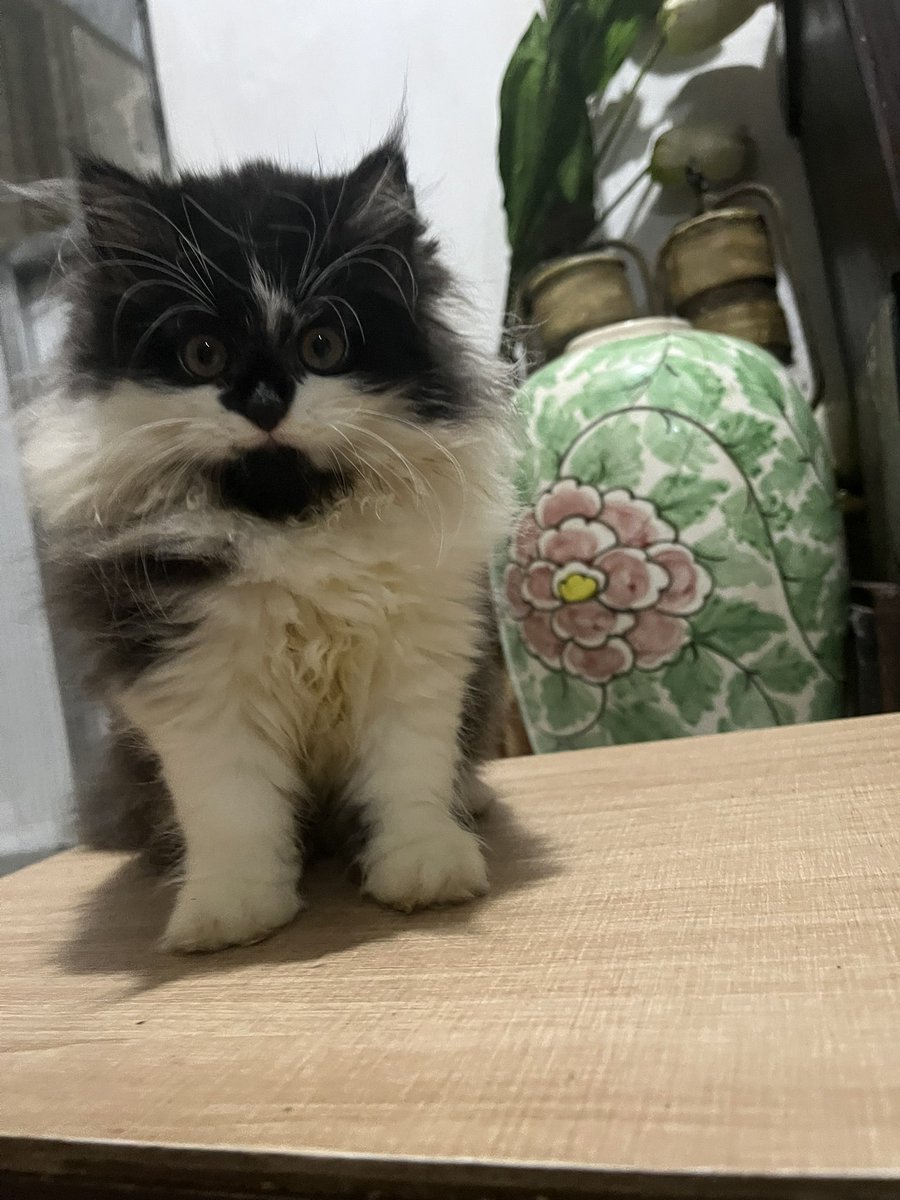 𝐝eden’sz tweet media