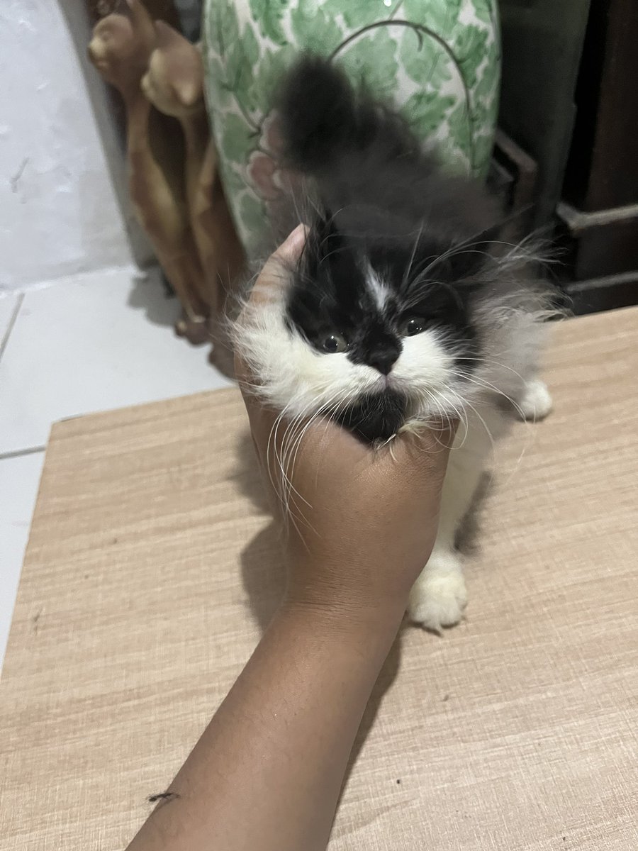 𝐝eden’sz tweet media