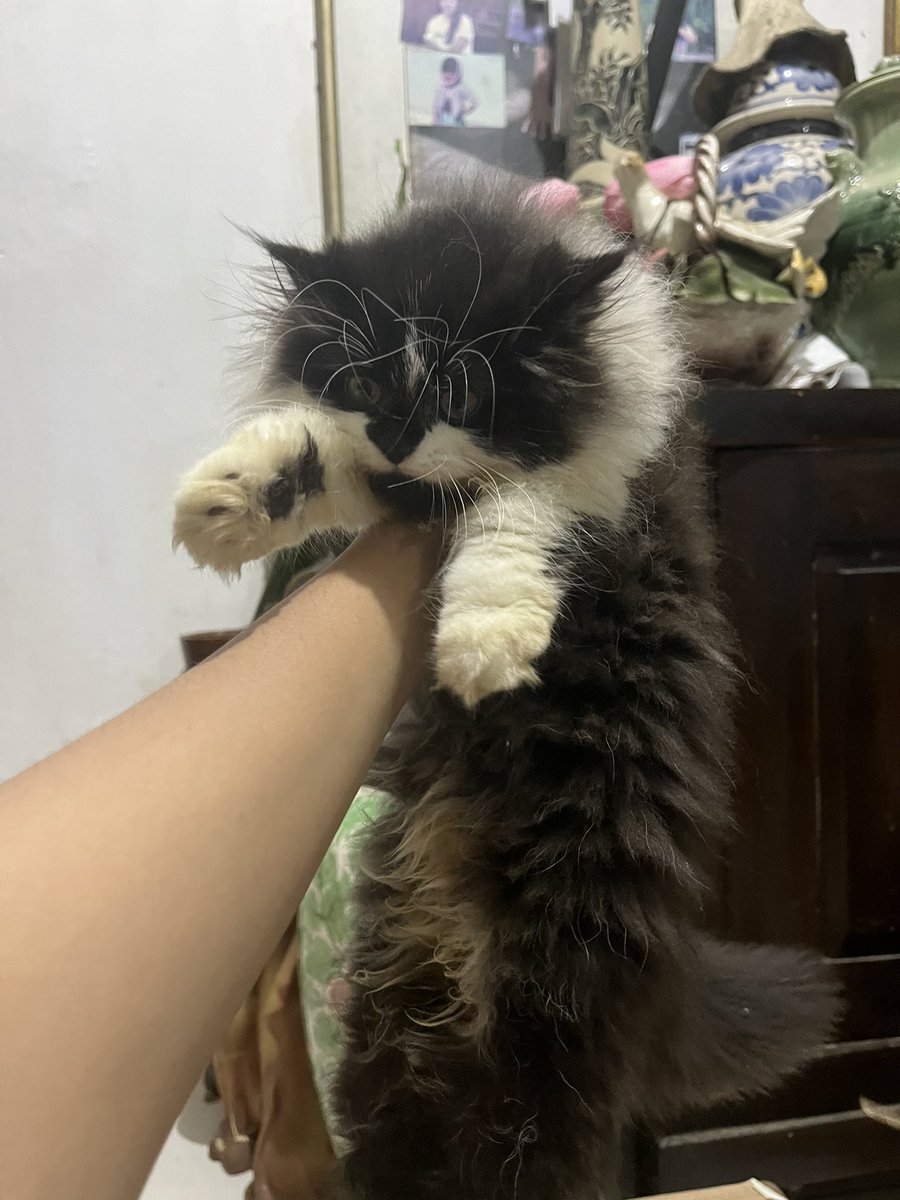 𝐝eden’sz tweet media