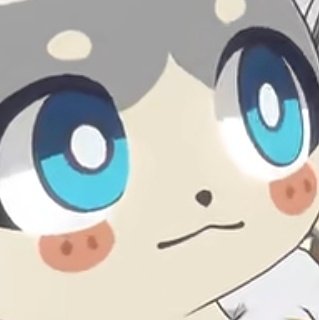 Beagle Coconut tweet media