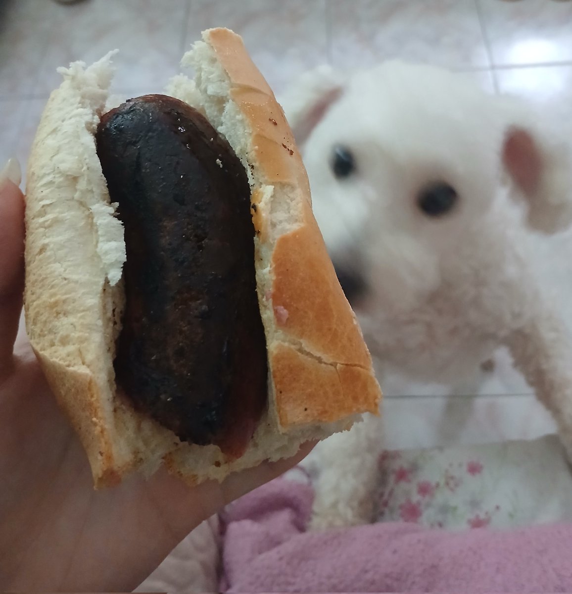 𝒷𝑒𝓁𓋹 tweet media