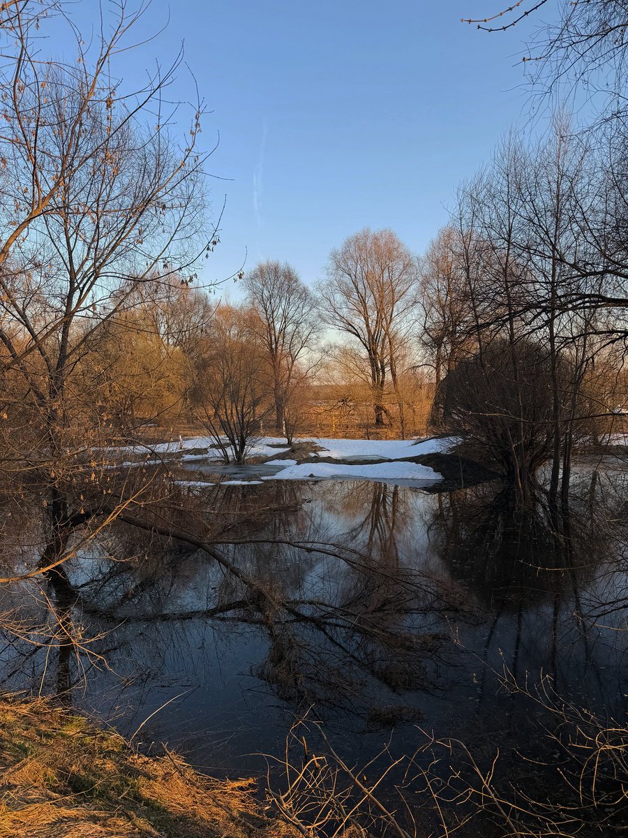 toksichnaya tania tweet media