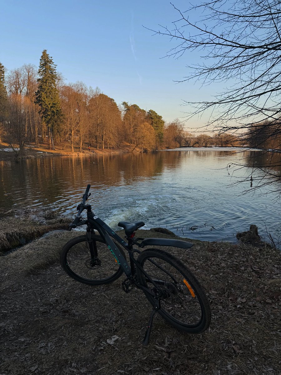 toksichnaya tania tweet media