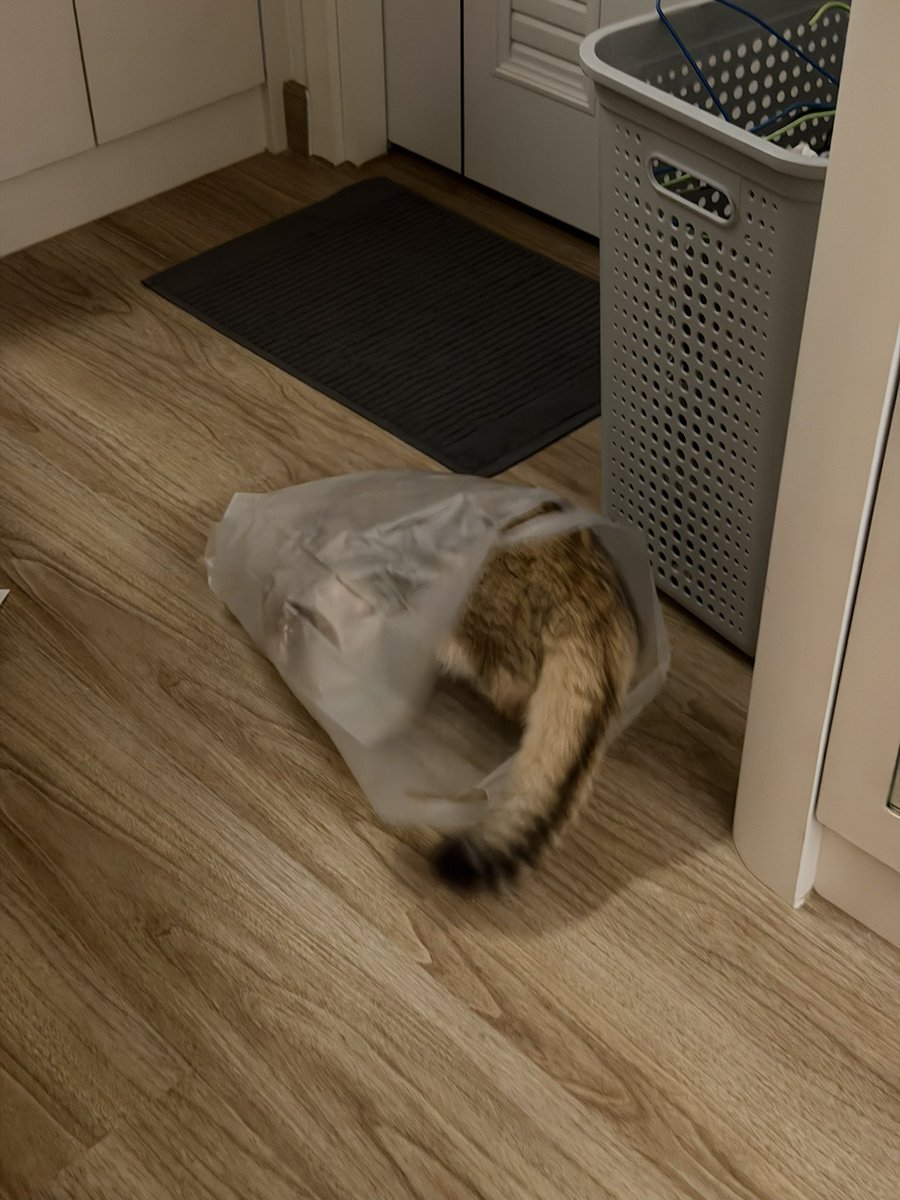 Taaom4EVE tweet media