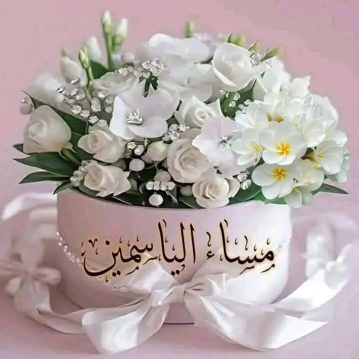 Dr:Saeed tweet media