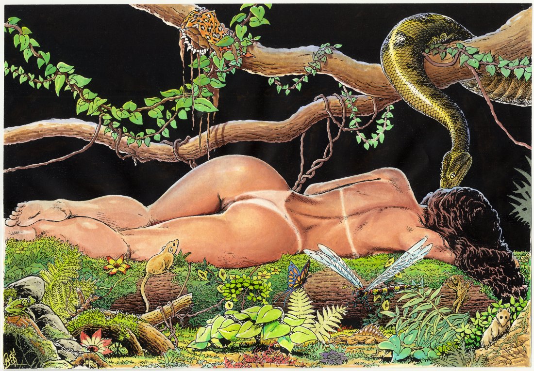 PulpCoverBeauties tweet media