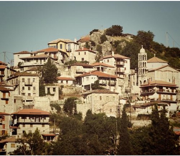 frappedophilosophy tweet media