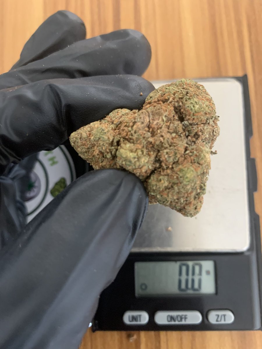 HIGH KUSH🍁🍀 tweet media