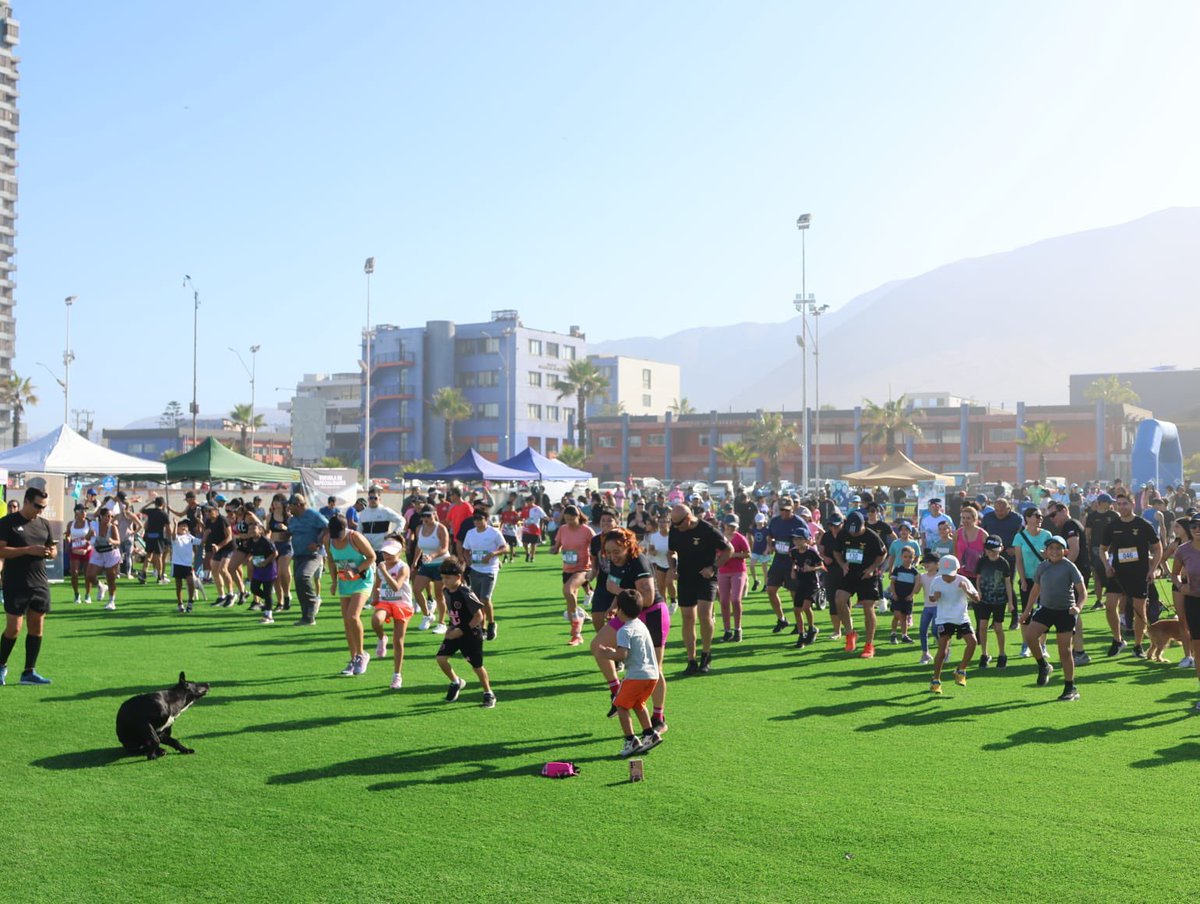 Fuerza Aérea de Chile tweet media