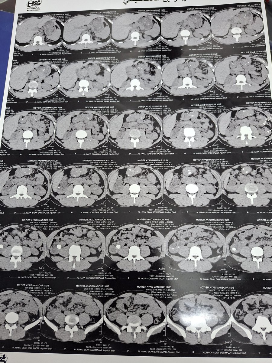 Amr Kamal tweet media