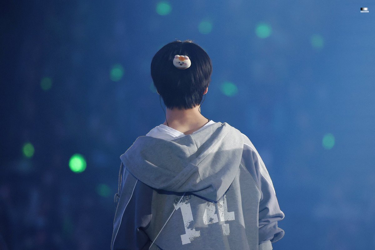 Haloimaura tweet media