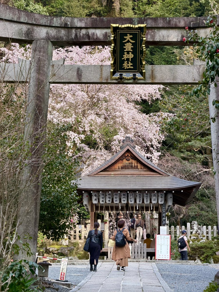 Antonio Fucito tweet media