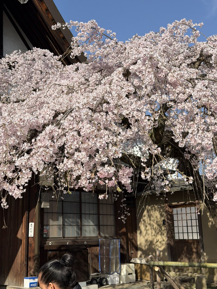 Antonio Fucito tweet media