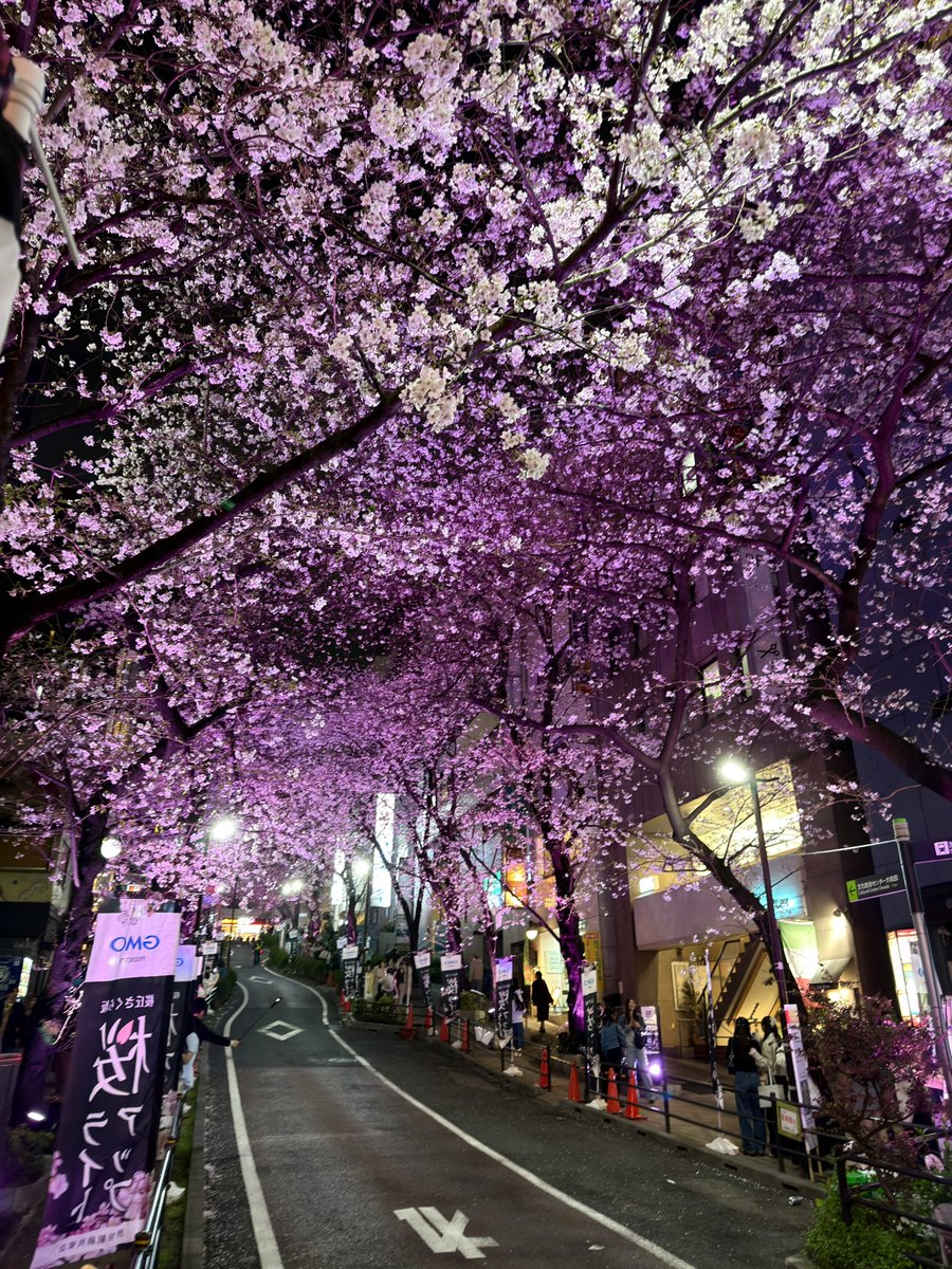 Antonio Fucito tweet media