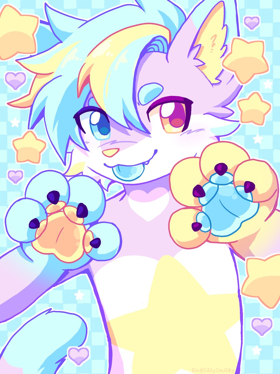 Lon 🐾 tweet media