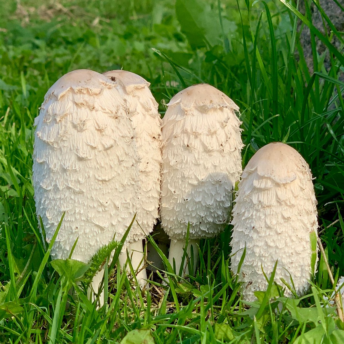 えいか|心身脳のリセットで人生再起動 tweet media