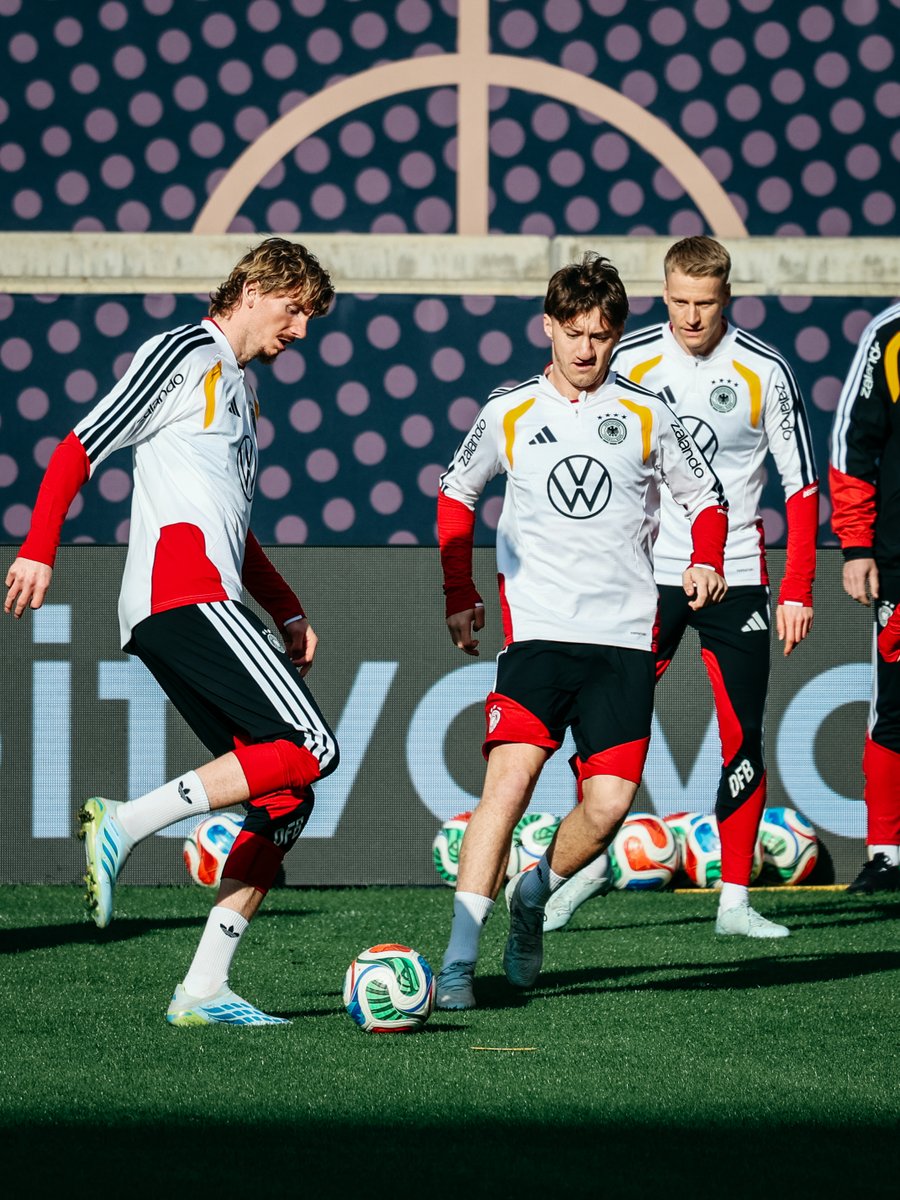 VfB Stuttgart 1893 tweet media