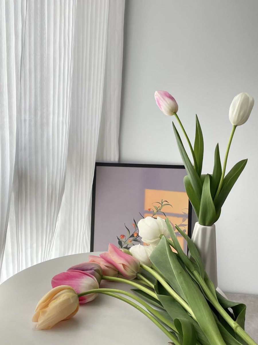 Discover beauty tweet media