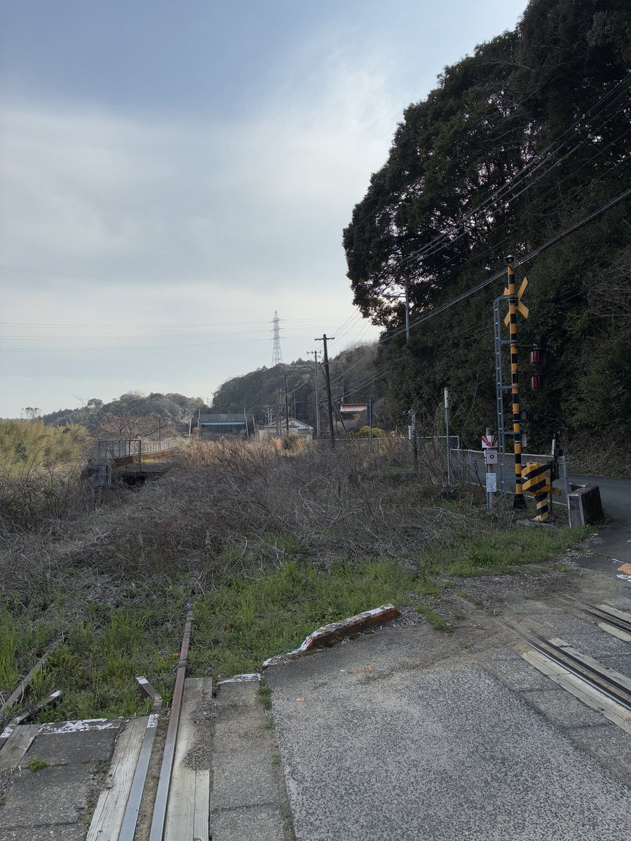 よま/ヤード推 tweet media