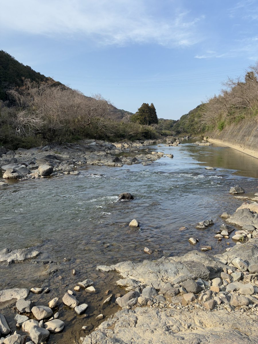 よま/ヤード推 tweet media