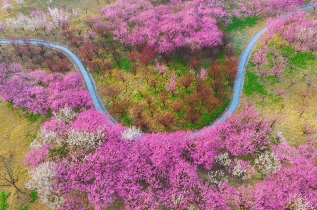 Elisangela tweet media