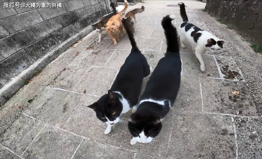 BlamssiF. tweet media