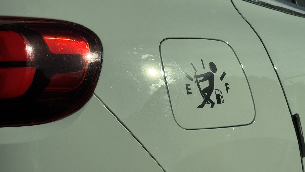 TeslaStars✨ tweet media