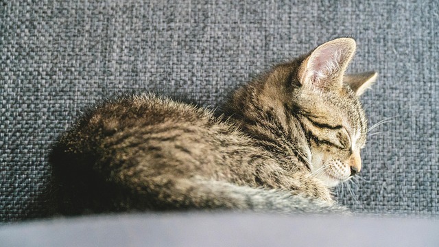 Tiffany Hamilton tweet media