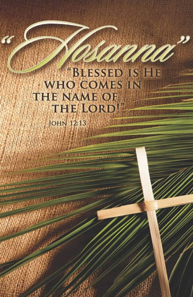 Alex_Gonzalez29's tweet photo. Hosanna in the highest ❤️ https://t.co/OXZ09Iiabn