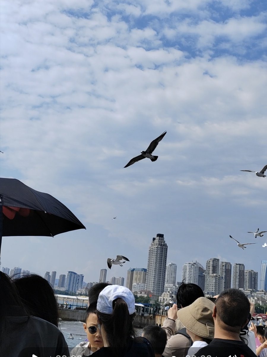 ☹✩*ೃabie*:･ﾟ☪❊ tweet media