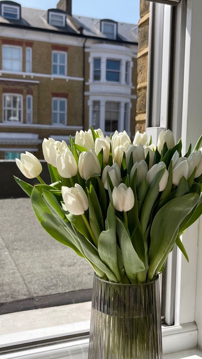 โ๏ธ tweet media