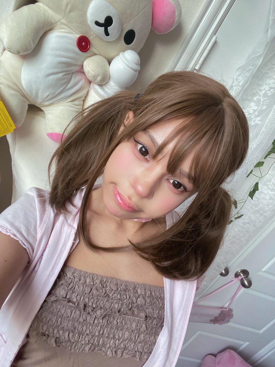 クマ 猫 tweet media