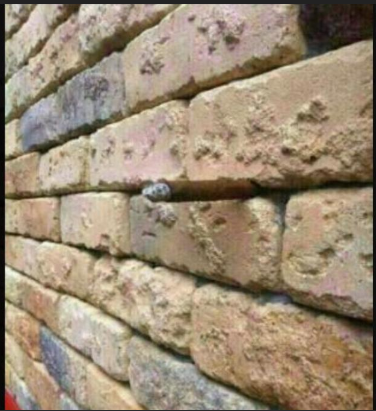 🇪🇦Mapi🇪🇦 tweet media