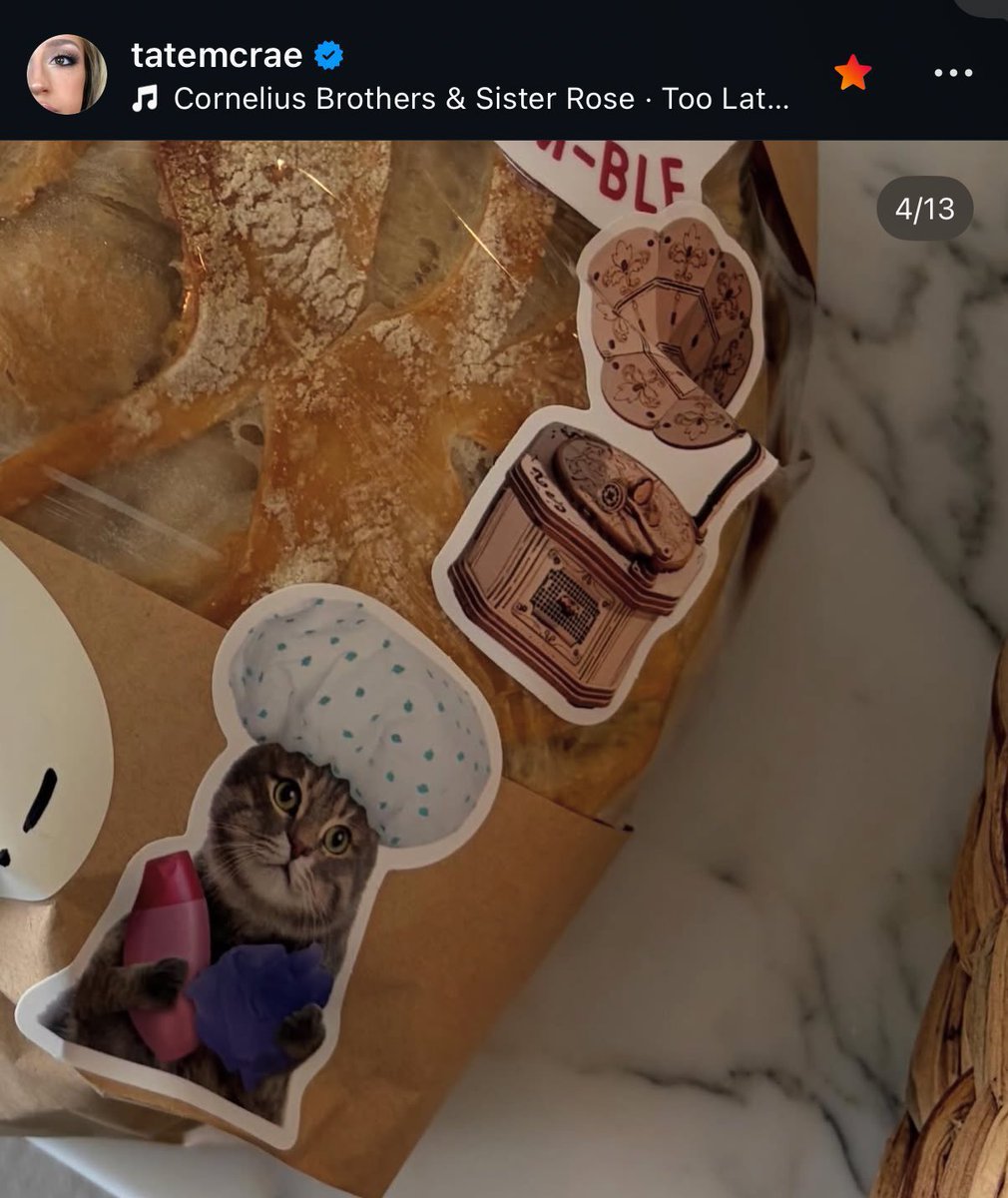 ALi❤️🔥 | I’m the bolter in getaway car tweet media