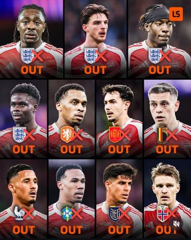 Magpie Base tweet media