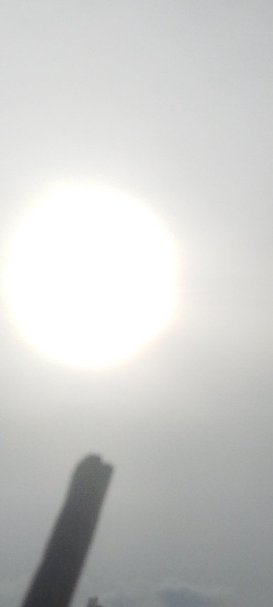 👑 Ov€rJoyM$N¥ tweet media