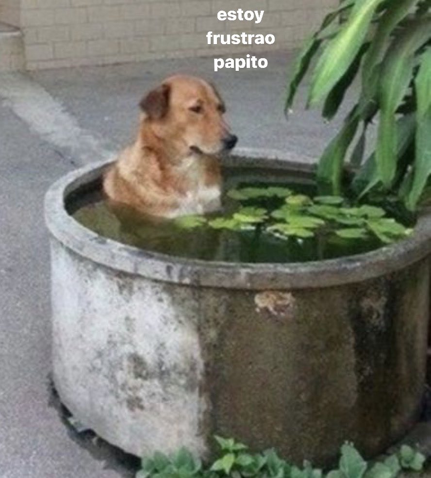 Depresión Tropical No. 29 tweet media