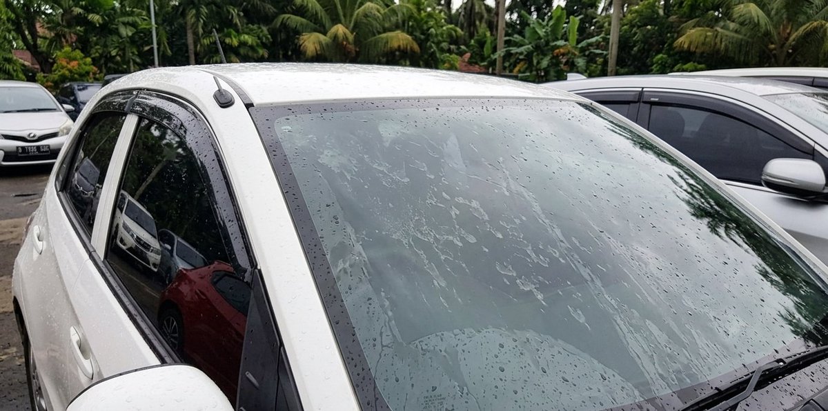 Zenith.fits888 tweet media