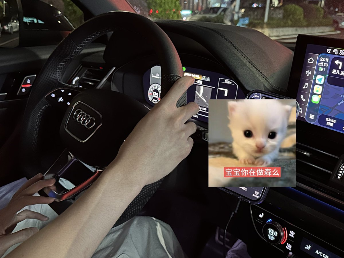 奕晴📷 tweet media